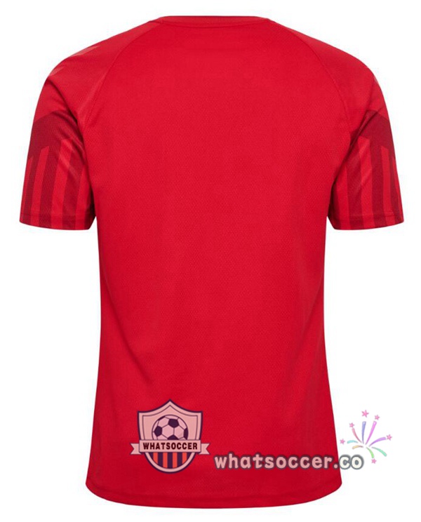 Denmark Home Soccer Jerseys Red 2022-2023