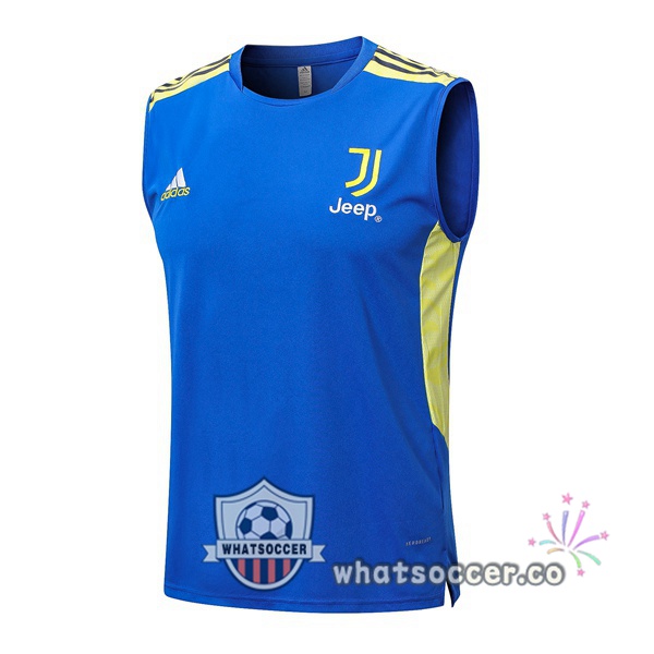 Juventus Blue Soccer Vest 2022-2023