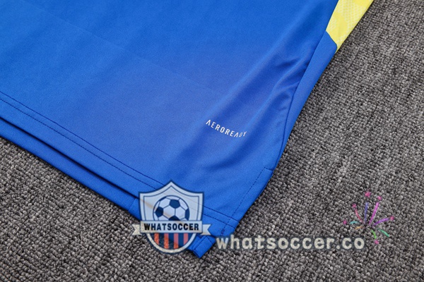 Juventus + Shorts Blue Soccer Vest 2022-2023