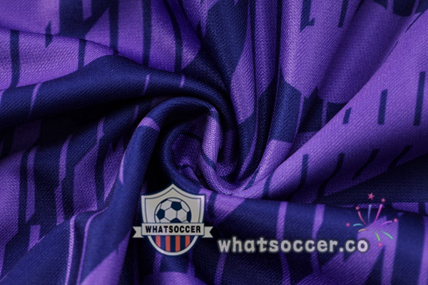 Argentina Purple Training Jacket 2022-2023