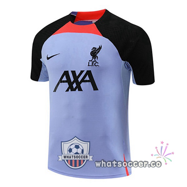 FC Liverpool Training T-Shirts Purple 2022-2023