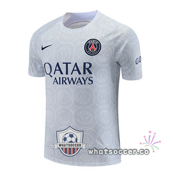 Paris PSG Training T-Shirts Gray 2022-2023