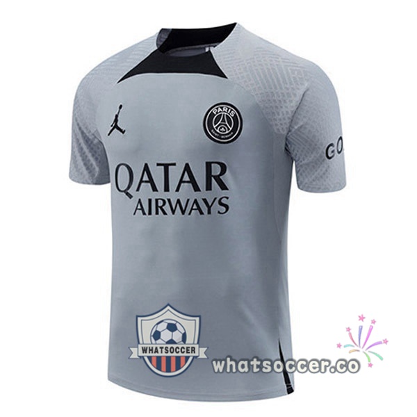 Paris PSG Training T-Shirts Gray 2022-2023