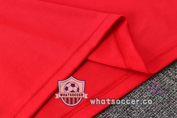 Training Polo Bayern Munich + Pants Red 2021-2022