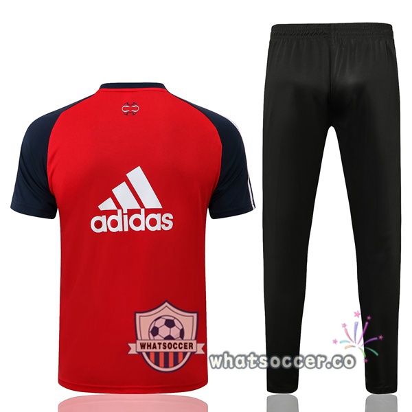 Bayern Munich Training T-Shirts + Pants Red 2021-2022