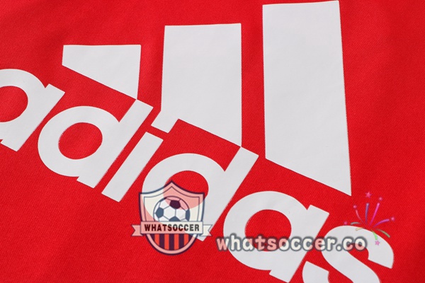 Bayern Munich Training T-Shirts + Pants Red 2021-2022