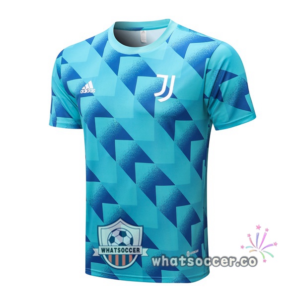 Juventus Training T-Shirts Blue 2022-2023