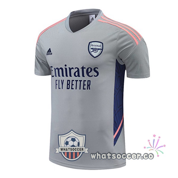 Arsenal Training T-Shirts Gray 2022-2023