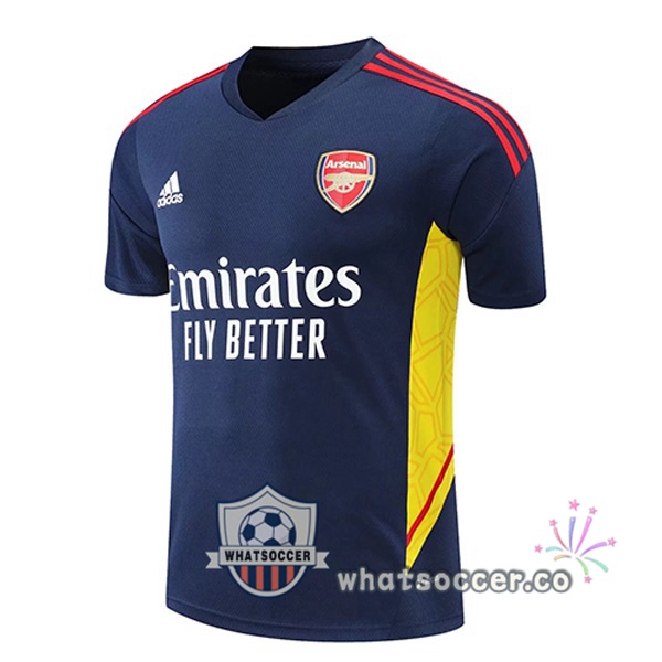 Arsenal Training T-Shirts Blue Royal 2022-2023