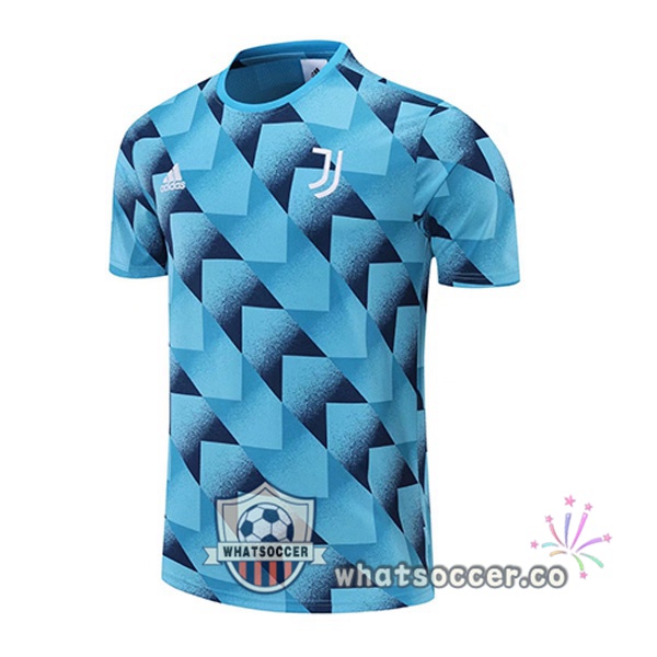 Juventus Training T-Shirts Blue 2022-2023