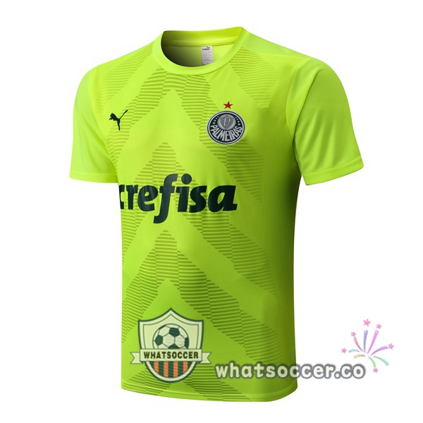 Palmeiras Training T-Shirts Green 2022-2023