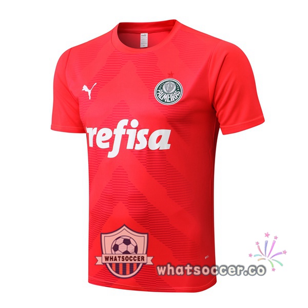 Palmeiras Training T-Shirts Red 2022-2023