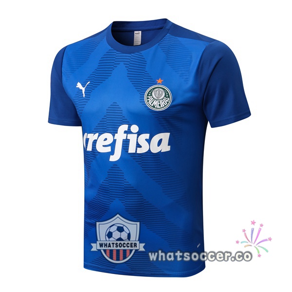 Palmeiras Training T-Shirts Blue 2022-2023