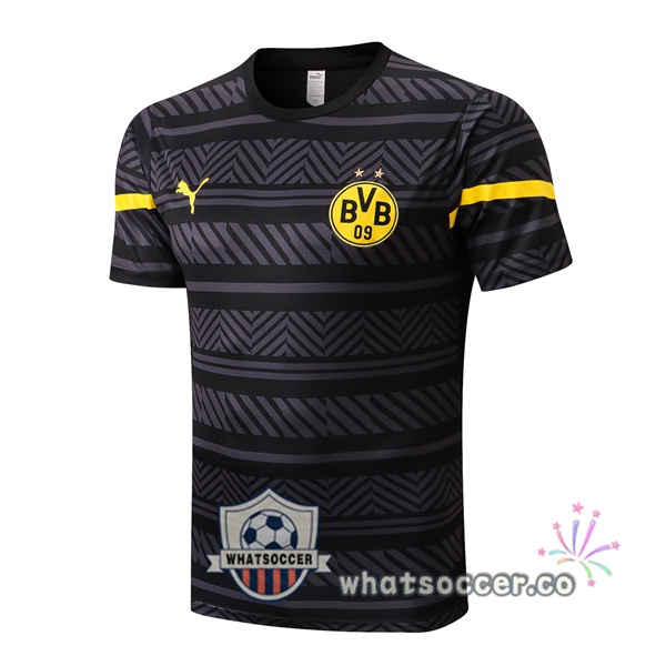 Dortmund BVB Training T-Shirts Gray 2022-2023