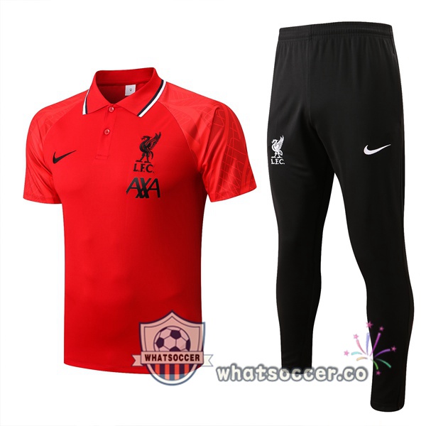 Training Polo FC Liverpool + Pants Red 2022-2023