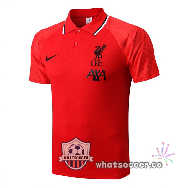 Training Polo FC Liverpool Red 2022-2023