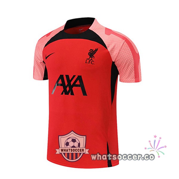 FC Liverpool Training T-Shirts Red 2022-2023