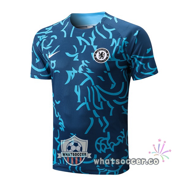 FC Chelsea Training T-Shirts Blue 2022-2023