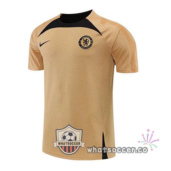 FC Chelsea Training T-Shirts Yellow 2022-2023
