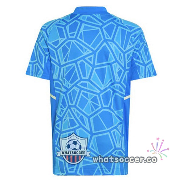 Real Madrid goalkeeper Soccer Jerseys Blue 2022-2023