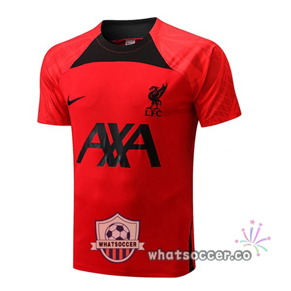 FC Liverpool Training T-Shirts Red 2022-2023