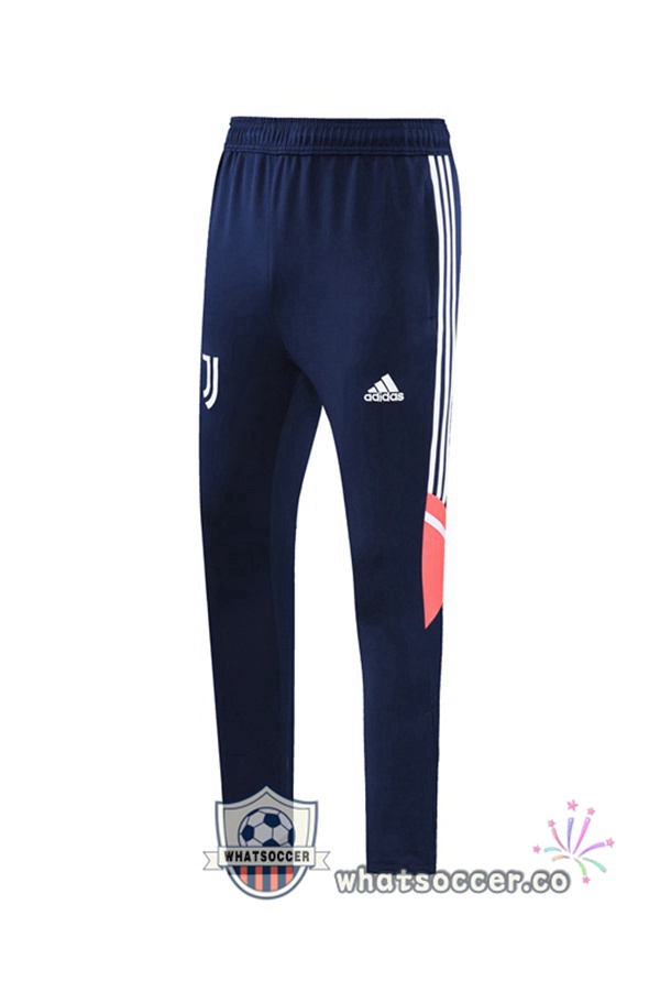 Juventus Blue Royal Jacket 2022-2023