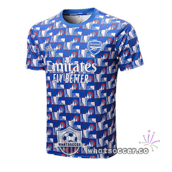 Arsenal Training T-Shirts Blue 2022-2023