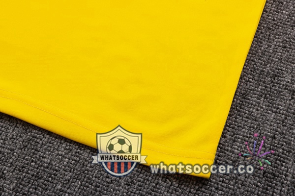 Training Polo Dortmund BVB + Pants Yellow 2022-2023
