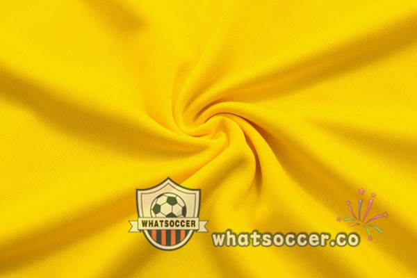 Training Polo Dortmund BVB + Pants Yellow 2022-2023