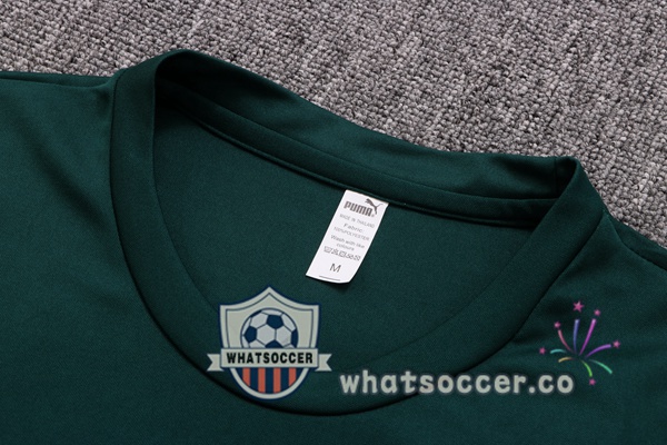Palmeiras Training T-Shirts + Shorts Green 2022-2023