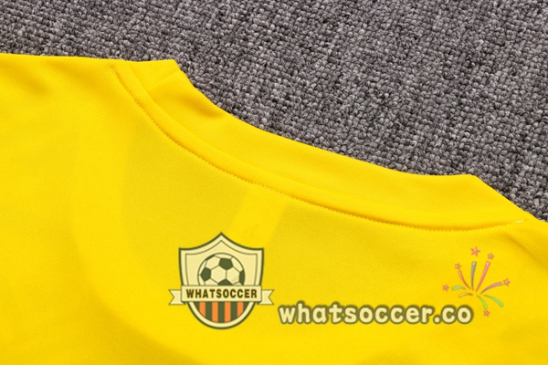 Dortmund BVB Training T-Shirts + Shorts Yellow 2022-2023