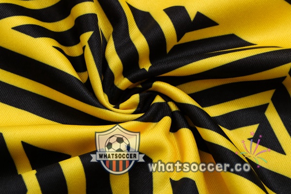 Dortmund BVB Training T-Shirts + Shorts Yellow 2022-2023