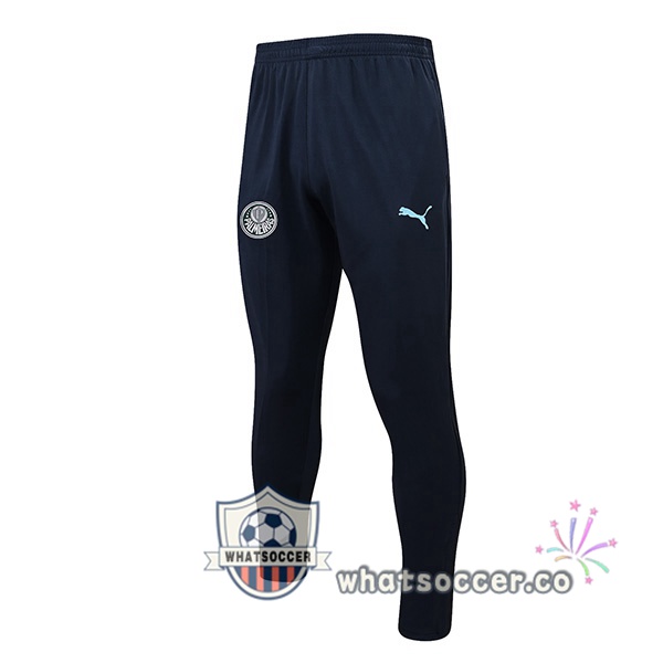 Palmeiras Soccer Pants Blue 2022-2023