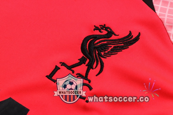 FC Liverpool Training T-Shirts + Shorts Red 2022-2023
