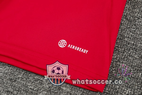 Bayern Munich Red Tracksuit 2022-2023