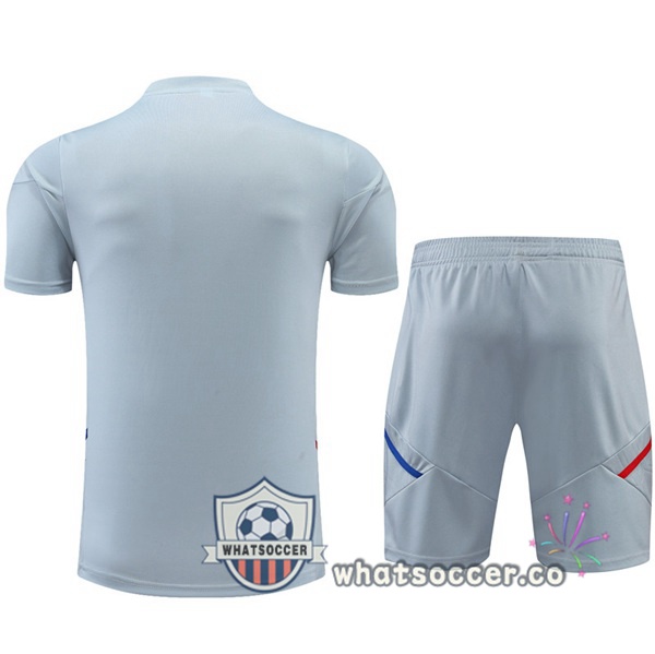 Olympique Lyonnais Training T-Shirts + Shorts Gray 2022-2023