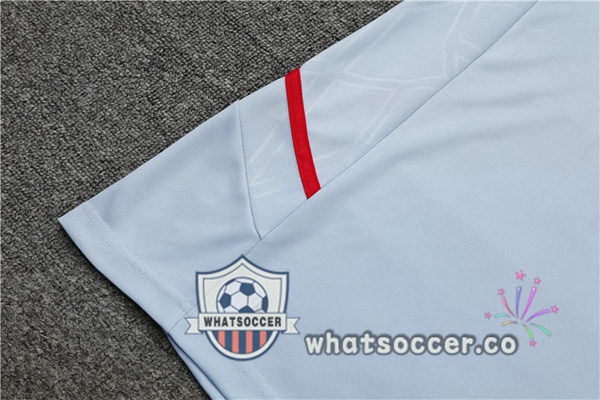 Olympique Lyonnais Training T-Shirts + Shorts Gray 2022-2023