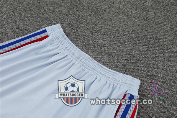 Olympique Lyonnais Training T-Shirts + Shorts Gray 2022-2023