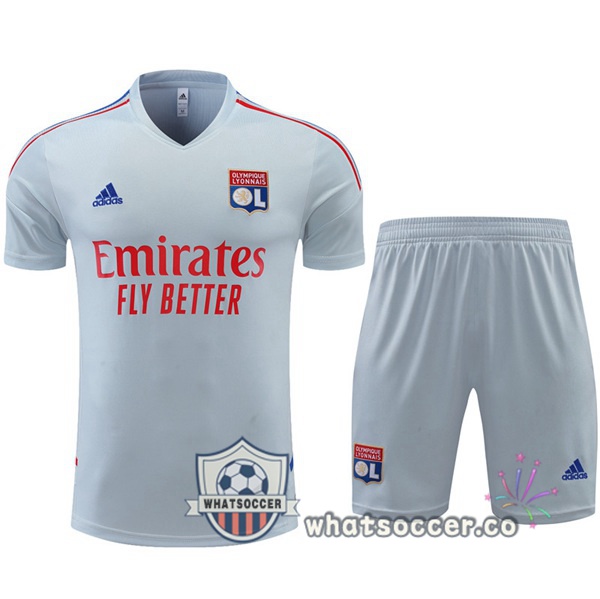 Olympique Lyonnais Training T-Shirts + Shorts Gray 2022-2023