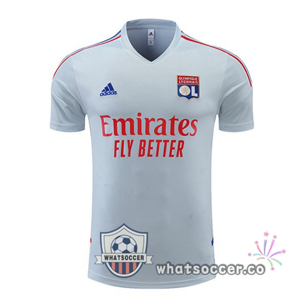 Olympique Lyonnais Training T-Shirts Gray 2022-2023