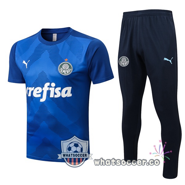 Palmeiras Training T-Shirts + Pants Blue 2022-2023