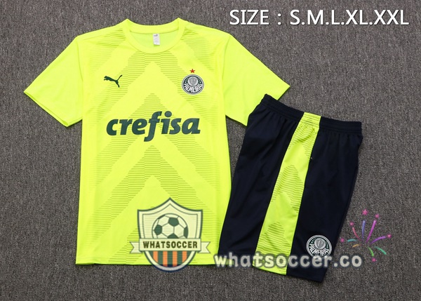 Palmeiras Training T-Shirts + Shorts Green 2022-2023