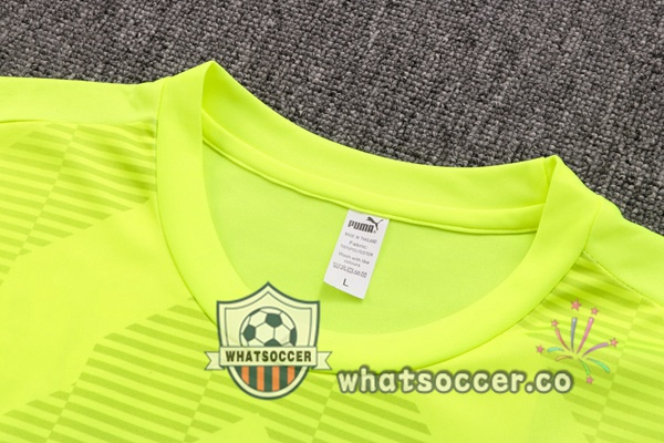 Palmeiras Training T-Shirts + Shorts Green 2022-2023