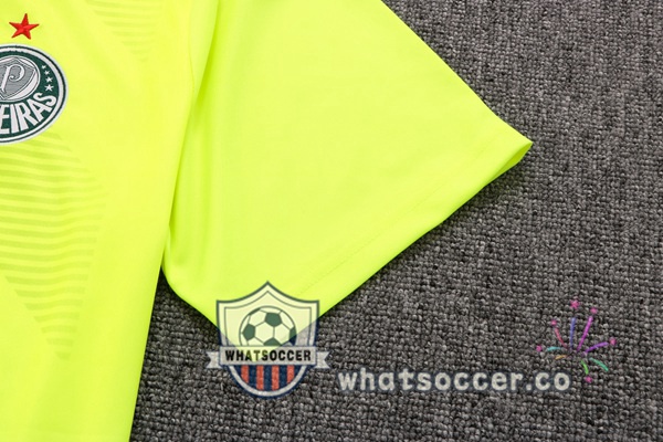 Palmeiras Training T-Shirts + Shorts Green 2022-2023