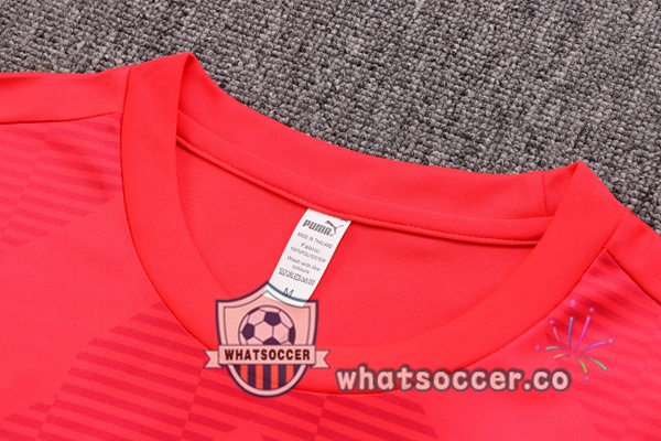 Palmeiras Training T-Shirts + Shorts Red 2022-2023