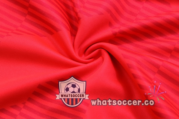 Palmeiras Training T-Shirts + Shorts Red 2022-2023