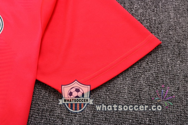 Palmeiras Training T-Shirts + Shorts Red 2022-2023
