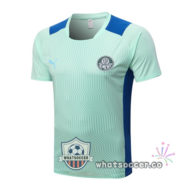 Palmeiras Training T-Shirts Green 2022-2023