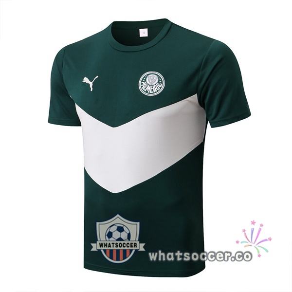 Palmeiras Training T-Shirts Green White 2022-2023