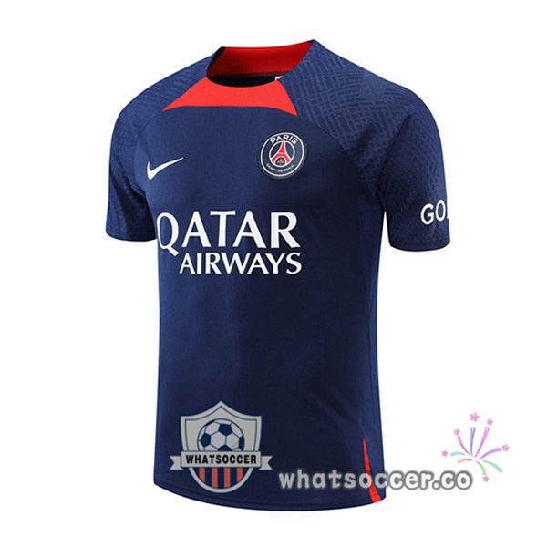 Paris PSG Training T-Shirts Blue 2022-2023